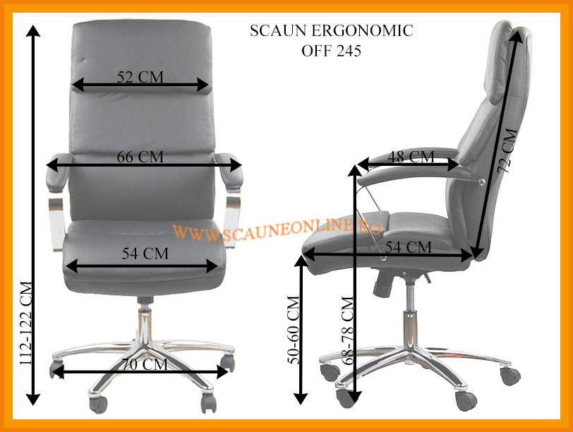 Dimensiuni Scaune ergonomice de birou OFF 245 