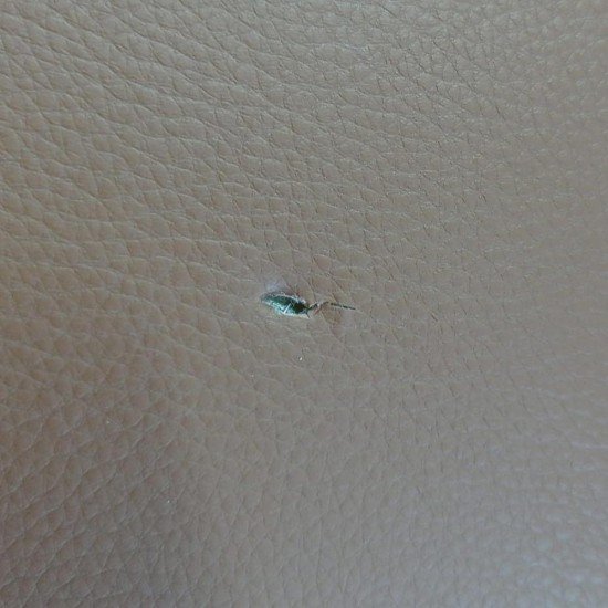 RESEALED - Waiting chair HRC 614 brown