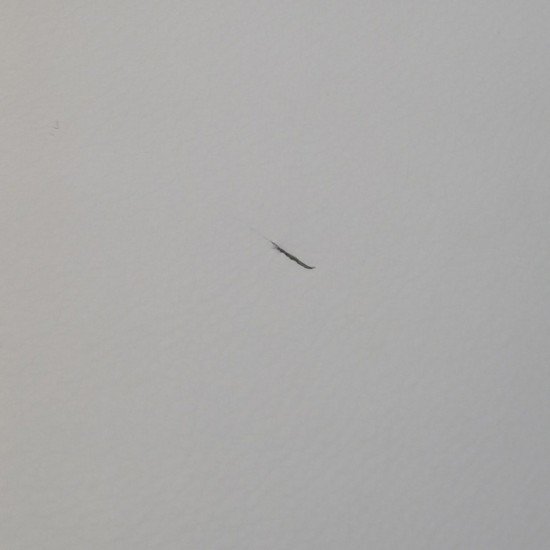 RESEAL - ABS 113 red bar stools