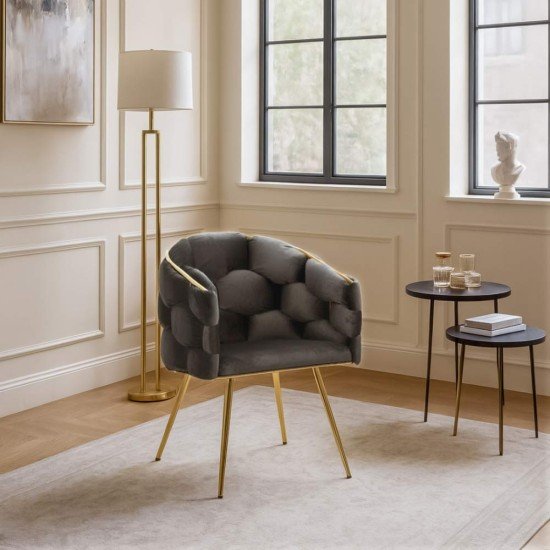 Scaun living gri BUC 251 din catifea cu aspect elegant