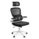 Ergonomic desk chair with lumbar support and folding arms OFF 432 black