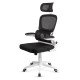 Ergonomic desk chair with lumbar support and folding arms OFF 432 black