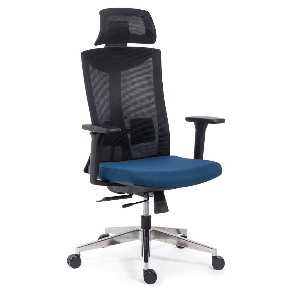 Scaun ergonomic multifunctional SYYT 9501 albastru scauneonline.ro