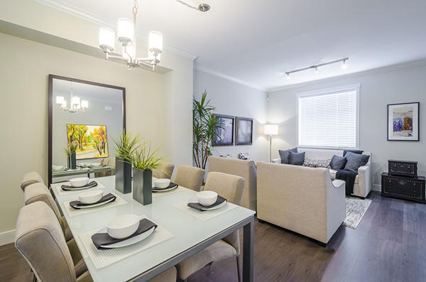 amenajare-living-si-dining43